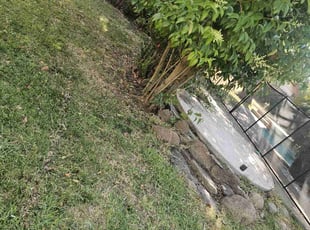 Cleanups by Juan Rodriguez for Brittney G. in Carmichael, CA