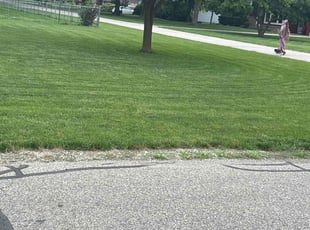 Anthony P.'s Lawn Mowing Service service result