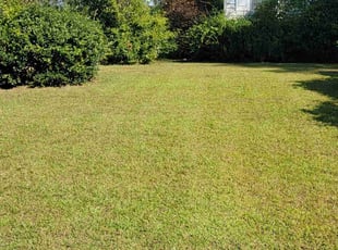 Holly G.'s Lawn Maintenance service result