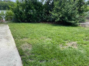 Cleanups by Isaiah Fiechtner for Christina C. in Oldsmar, FL