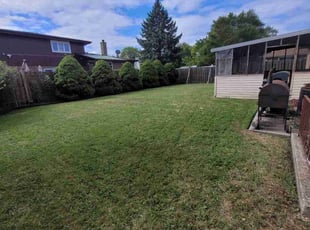 Franshonn S.'s Lawn Mowing service result