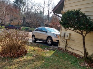 Bush Trimming by Greg Bush for Karen W. in Upper Marlboro, MD