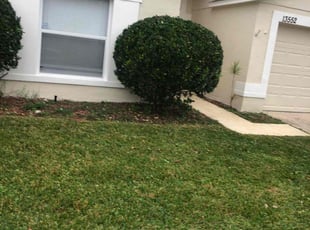 Bush Trimming by Genet Rena for Melanie R. in Orlando, FL