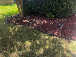 Leaf Removal by Fredrick Miller for Taiwo B. in Schertz, TX
