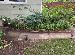 Weeding by Egbert Bickley for Rachel S. in Buffalo, NY