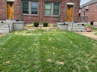 Ronald W.'s Lawn Mowing service result