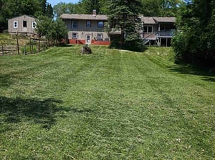 Kristal W.'s Lawn Mowing Service service result