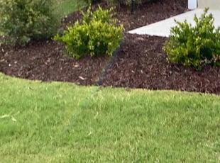 Bush Trimming by Shaun Mckoy for Trisha E. in Holly Springs, NC