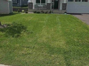 David N.'s Lawn Service service result