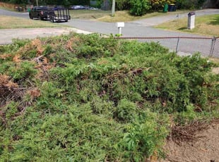 Bush Trimming by Bladimir Gomez for Rohan C. in 6, Spauldings, MD