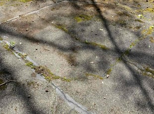 Leaf Removal by Joe Phillips for John B. in New Kensington, PA