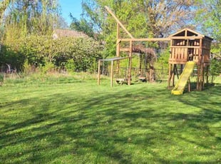 Leia R.'s Lawn Service service result