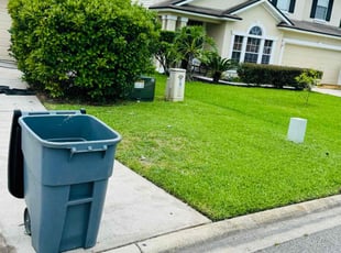Dennis F.'s Yard Cutting service result