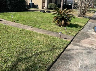 Kegan B.'s Lawn Care service result