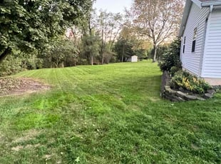Emmanuel T.'s Lawn Maintenance service result
