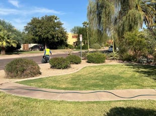 Bush Trimming by Jonathan Bell for Jesse H. in Phoenix, AZ