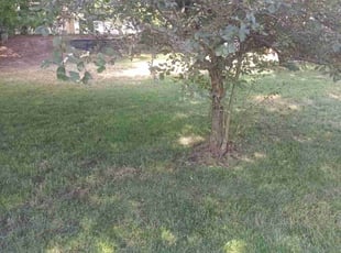 Leaf Removal by Kevin Kenney for Nick D. in Brick Township, NJ