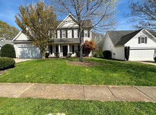 Timothy D.'s Yard Cutting service result
