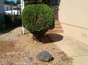 Bush Trimming by Jason Vizenor for Rebecca M. in Sacramento, CA