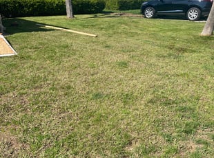 Leaf Removal by Michael Linley for Francesca K. in Rancho Cordova, CA