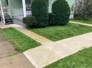 Bush Trimming by James White for Paul G. in Scranton, PA