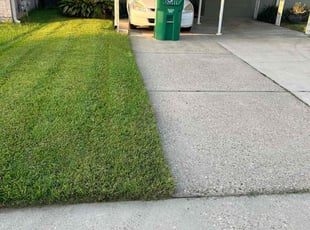 Chris N.'s Lawn Mowing service result