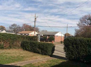 Bush Trimming by Shaun Brindle for Nikita F. in Richmond, VA