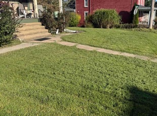 Rick D.'s Lawn Mowing service result