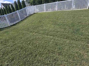 Michelle R.'s Lawn Mowing service result
