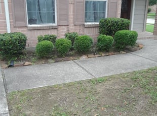 Weeding by Juan Murillo for Darci M. in Pearland, TX