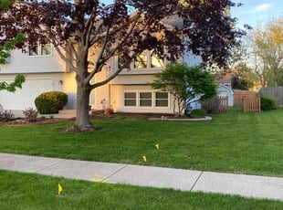 Holly H.'s Yard Cutting service result