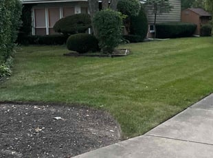 Marci G.'s Lawn Care service result