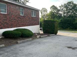 Weeding by Curtis Day for Bhaumik K. in Allentown, PA