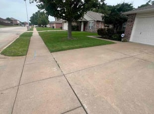 Sheilah C.'s Lawn Service service result