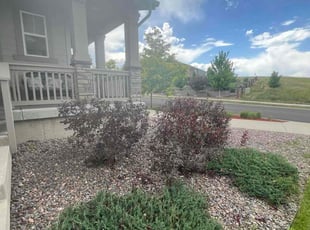 Bush Trimming by David Williams for TaShara C. in Castle Rock, CO