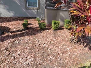 Weeding by Milynel Burgos for Jovan P. in Orlando, FL