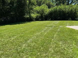 Weeding by MICHAEL OFLAHERTY for Dawn W. in Omaha, NE