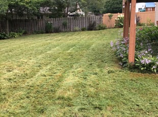 Cleanups by Arisbet Cardoza for Patrick R. in Grand Rapids, MI
