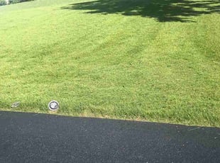 Neil & Kathy W.'s Grass Cutting service result