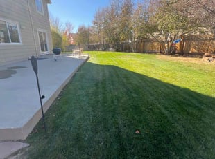 Andrew P.'s Yard Cutting service result