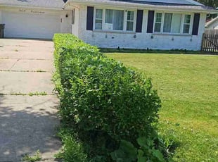 Bush Trimming by Bryan Rodriguez for YI Z. in Northbrook, IL