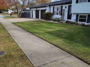 Joe F.'s Lawn Care service result
