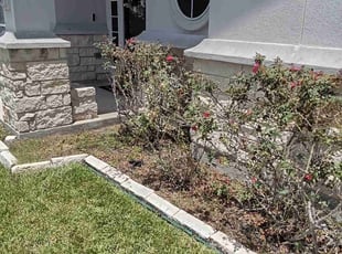 Bush Trimming by Terrell & Dana Wyatt for David F. in Robstown, TX