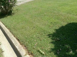 Bush Trimming by Lionel Lee for Antoine A. in Lithonia, GA