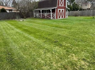 Ann B.'s Lawn Mowing service result