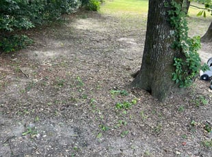 Cleanups by Jeffrey Robison for Ashley S. in Tyler, TX
