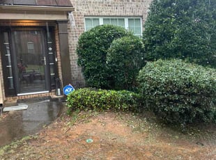 Bush Trimming by Yusuf Muhammad for Brittany A. in Atlanta, GA