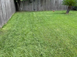 Ebony M.'s Lawn Care service result