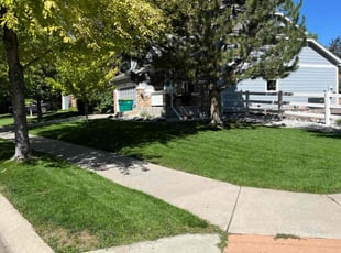William D.'s Yard Cutting service result