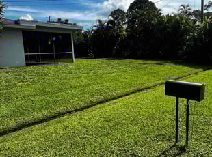 Carrie S.'s Lawn Mowing Service service result